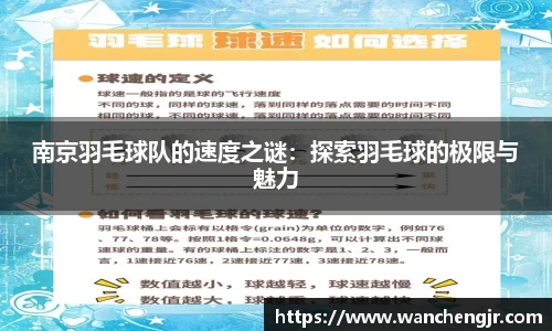 南京羽毛球队的速度之谜：探索羽毛球的极限与魅力